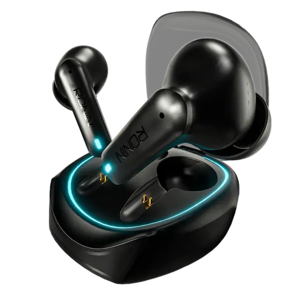 R-520 Dynasty Earbuds 