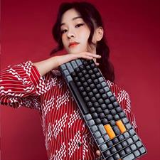GD100 Mechanical keyboard - Brown Sugar