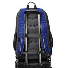 Amazon Basics Sports Laptop Backpack - Durable Polyester Everyday Backpack