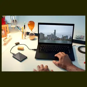 WD My Passport Portable External Hard Drive 2TB – USB 3.1/USB 3.0 Compatible, Black (WDBYVG0020BBK-WESN)