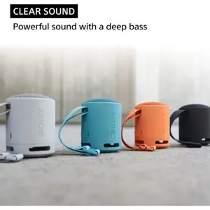 SONY SRS-XB100 Wireless Bluetooth Portable Lightweight Super-Compact Travel Speakers | Durable IP67 Waterproof | Black