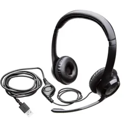 Logitech H390 USB Computer Headset
