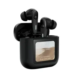Zero Display Earbuds - Metallic Black