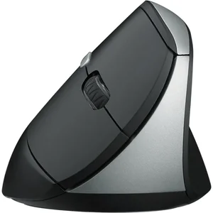 Rapoo EV250 Silent Vertical Ergonomic Wireless Mouse, 2.4G, 800/1000/1200/1600 DPI, Quiet Clicks, Black