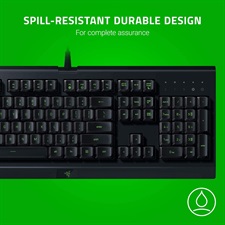 Razer Cynosa Lite Gaming Keyboard: Customizable Single Zone Chroma RGB Lighting 