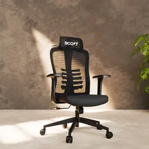 Boost Momentum Ergonomic Mesh Chair – Breathable Mesh Back, 2D Adjustable Headrest, Lumbar Support, Reclining Office Chair, 120kg Capacity