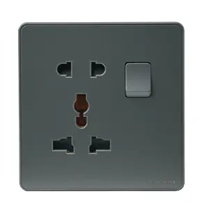 Clopal Platinum Light Plug Switch