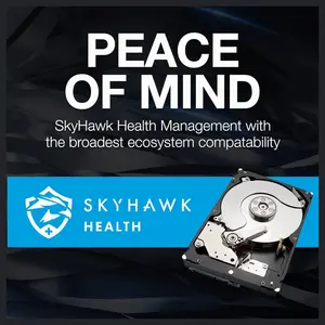 Seagate SkyHawk 6TB Surveillance Internal Hard Drive HDD, 3.5 Inch, SATA 6Gb/s, 256MB Cache, 7200RPM, ST6000VX009