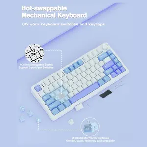 AULA F75 75% Wireless Mechanical Keyboard, Tri-Mode 2.4GHz USB-C and BT5.0, Hot Swappable 3-Pin and 5-Pin, 16.8 Million RGB Backlit, White and Blue and Purple