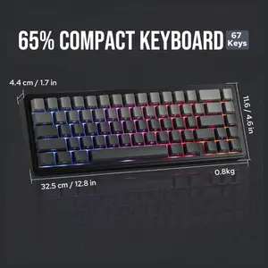 EPOMAKER x Aula F65 65% Wireless Hot-Swappable Gasket Mechanical Keyboard, 67 Keys, Five-Layer Sound Dampening, Flex-Cut PC Plate, BT 2.4GHz and Wired USB, 4000mAh Battery, South-Facing RGB 1000Hz