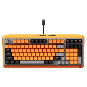 Rapoo ESK750 RGB Backlit Mechanical Gaming Keyboard, 98-Key Compact Layout, 60 Million Keystrokes Mechanical Switches, Full-Key Conflict-Free N-Key Rollover, Wired USB Plug-and-Play, Orange Grey Black, ESK750-98