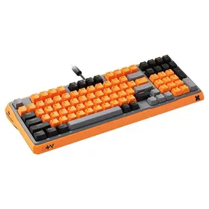 Rapoo ESK750 RGB Backlit Mechanical Gaming Keyboard, 98-Key Compact Layout, 60 Million Keystrokes Mechanical Switches, Full-Key Conflict-Free N-Key Rollover, Wired USB Plug-and-Play, Orange Grey Black, ESK750-98