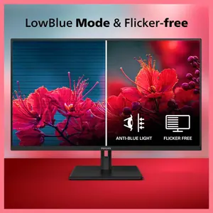Philips 32E1N1100L 32 Inch Computer Monitor, 1920x1080 FHD LED VA, 100Hz Refresh Rate, 1ms MPRT, Adaptive Sync, HDMI 1.4, DisplayPort, VGA, VESA