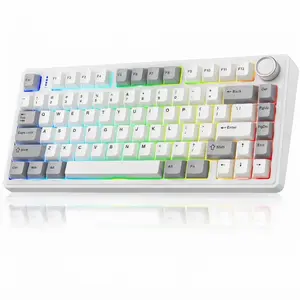 Aula F75 Wireless Gaming Mechanical Keyboard, 2.4GHz, USB Type-C, Bluetooth 5.0, 75% Compact Layout, Gasket Structure, Hot-Swap, 16.8 Million RGB, Milk White Switches, Retro White