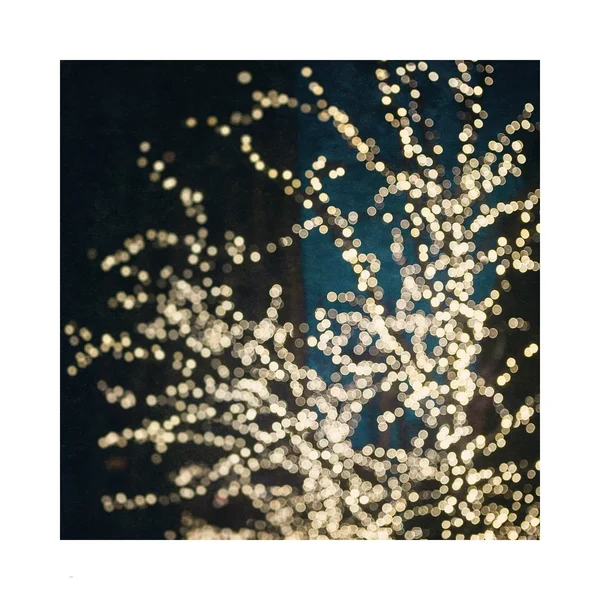 City On Lights by Jade London