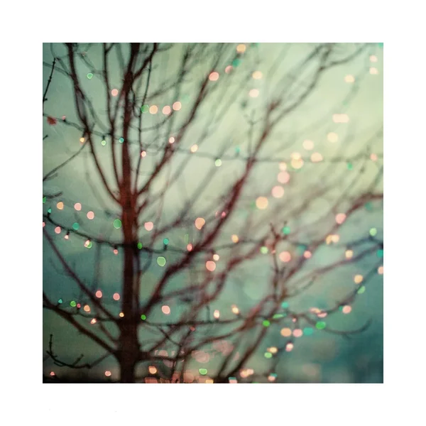 Teal Holiday Lights by Tim Burton