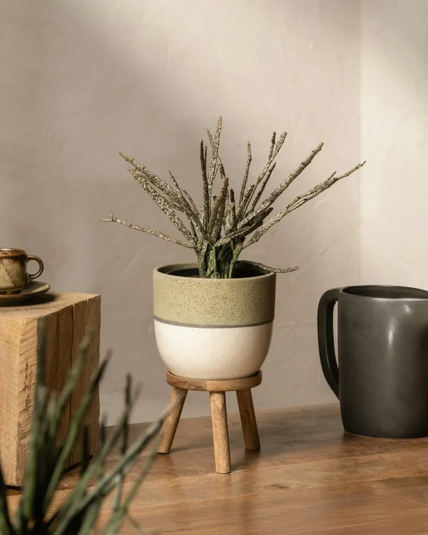 Wander Planter Crafted Pot