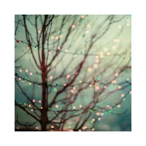 Teal Holiday Lights by Tim Burton