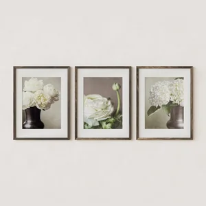 Ivory Floral Set of 3 by Alpha Arts