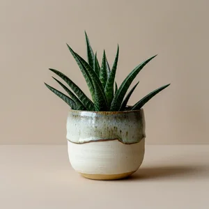 Wander Planter Crafted Pot