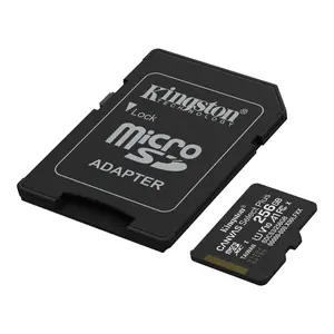 Kingston Canvas Select Plus 256GB microSDXC Memory Card with Full-Size SD Adapter | Model: SDCS2/256GB, UHS-I Class 10, Speed Class U1, Video Speed Class V10, App Performance Class A1, Up to 100MB/s Read Speed & Full HD Video Recording
