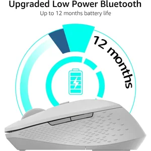 Rapoo M300 Silent Multi-Mode Wireless Optical Mouse (White / Light Grey)