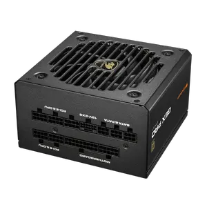 Cougar GEX PRO 850W ATX 3.1 PCIe 5.1 Fully Modular 80 Plus Gold | A+ Cybenetics Gold Certified | 105C Japanese Capacitors | Embossed Black Cables