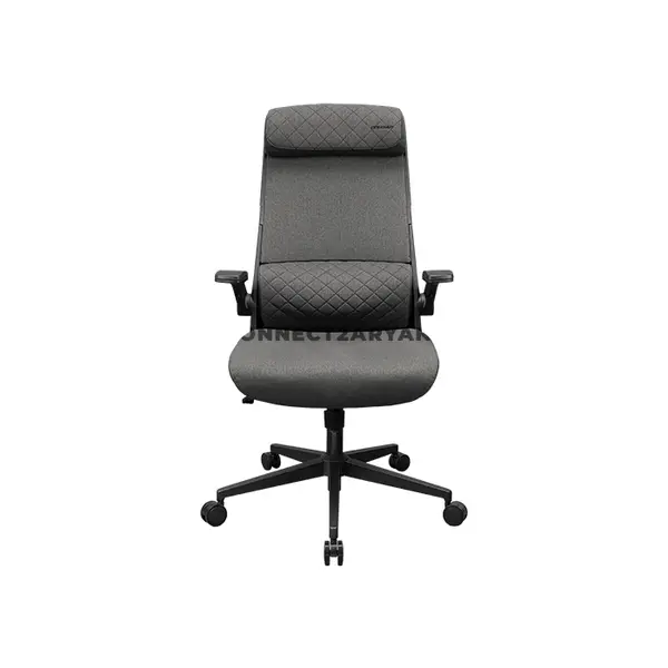 COUGAR STRYDER Gray Ergonomic Gaming Chair with Adjustable Headrest, Flip-Up Armrests, Multi-Density Foam Seat, Ergonomic Lumbar Support, Class 4 Gas Lift & Linen-Style Upholstery