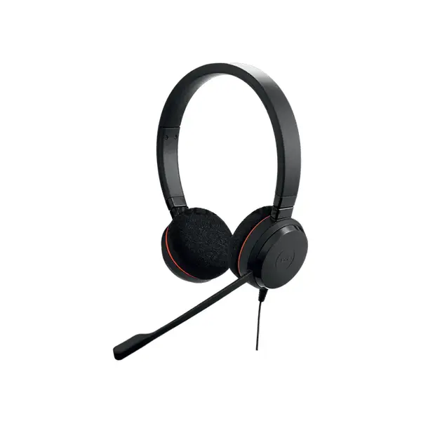 Jabra Evolve 20 4999-823-169 MS Stereo Professional Wired Office Headset, USB-C/A Connectivity, Noise-Cancelling Microphone, Wideband Audio, Inline Call Controls & Microsoft Teams Compatible