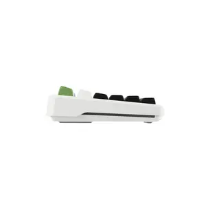 AULA F87 Pro Gasket Mount Mechanical Keyboard White Green Edition, RGB Lighting Effects, Gasket Mount Design, Compact Mechanical Gaming Keyboard