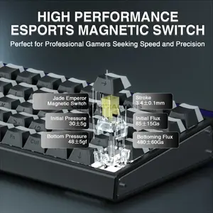 AULA HERO68 HE Black Lighthouse Wired Hall Effect Magnetic Gaming Keyboard, Jade King Magnetic Switch, 65% 68-Key Layout, Hot-Swappable PCB, 8K Polling Rate, Up to 128K Scan Rate, 0.01–3.4mm Adjustable Actuation, RGB