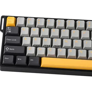 AULA WIN60 HE MAX Grey Yellow Wired Hall Effect Magnetic Gaming Keyboard, Wing Chun Magnetic Switch, 60% 61-Key Layout, 8000Hz Polling Rate, 0.02mm Precision, Rapid Trigger, Hot-Swappable, South-Facing RGB