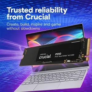 Crucial P310 2TB PCIe Gen4 x4 NVMe M.2 2280 Internal SSD, Up to 7100MB/s Read Speed, Up to 6000MB/s Write Speed, High-Performance Storage Solution for Gaming, Content Creation and Productivity
