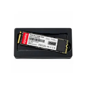 RAMSTA R900 256GB M.2 2280 PCIe NVMe SSD, Up to 3000MB/s Read & 1000MB/s Write, MLD/TLC Flash, Metal Shell, S.M.A.R.T & TRIM Support Ramsta