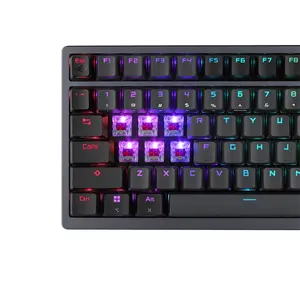 ASUS ROG Azoth M701 Wireless Custom Gaming Keyboard, ROG NX Snow Switches, 75% Compact Layout, OLED Display, PBT Keycaps