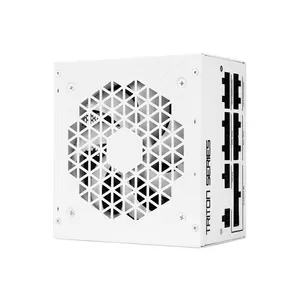 SilverStone Triton 1000Rz Triton 1000W Power Supply, Cybenetics Gold, ATX 3.1, Fully Modular, 120mm Fan, White