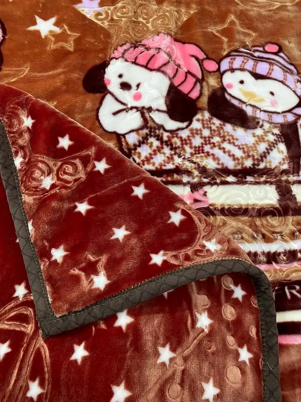 Soft & Warm 2 Ply Bear Blanket for Toddlers and Kids (0–5 Years)
