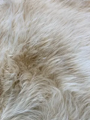 Luxury Cream Ultra-Soft Faux Fur Shag Area Rug – Cozy Elegance for Modern Homes