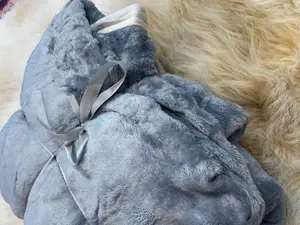 Soft Plush Fleece Blanket Grey – Cozy & Warm Home Blanket