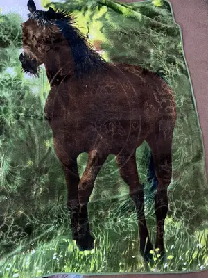 Single Blanket - 3D Horse Design 160cm x 220cm