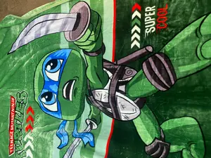 Single Blanket Green Turtle 160 x220cm
