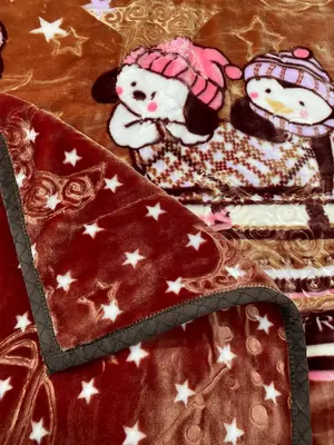 Soft & Warm 2 Ply Bear Blanket for Toddlers and Kids (0–5 Years)